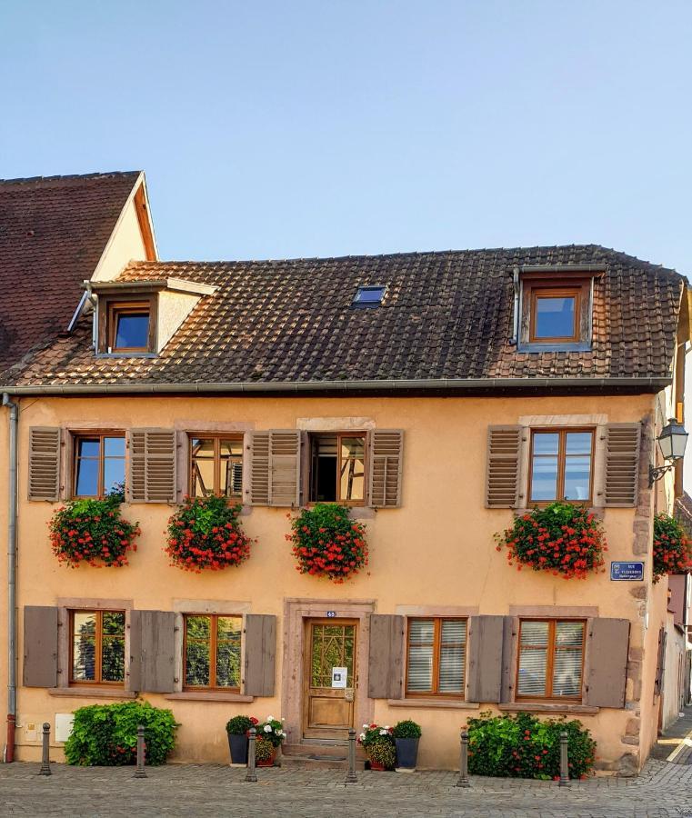 Chez Laurette A Bergheim Apartment Exterior photo